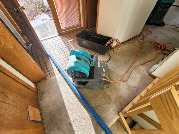 Best Professional water damage repair  in Cleveland, WI