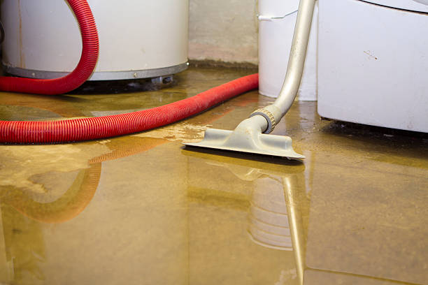 Best Flooded house restoration  in Cleveland, WI