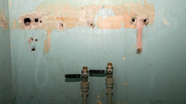 Best 24/7 water damage repair  in Cleveland, WI