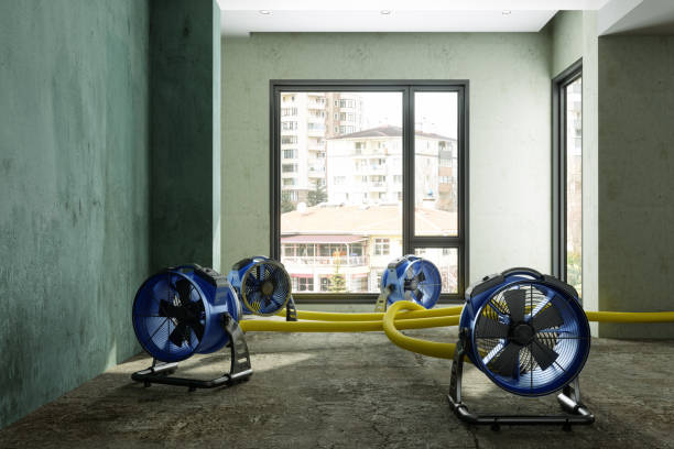 Best Water damage contractors near me  in Cleveland, WI